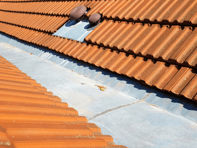 About Leaking Skylight Repair Pros Parks, NE